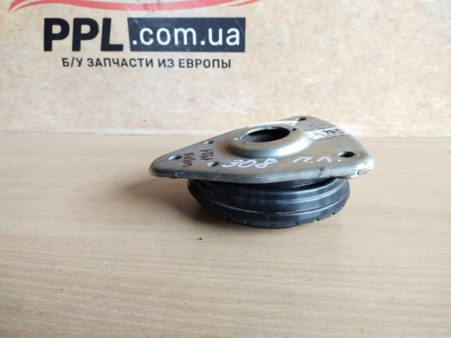 9807791380 PEUGEOT купить в Винница