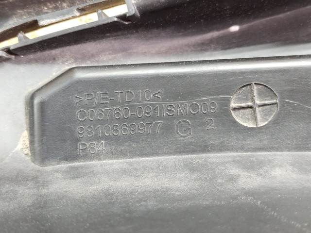 PEUGEOT 9810869977 в наличии Николаев
