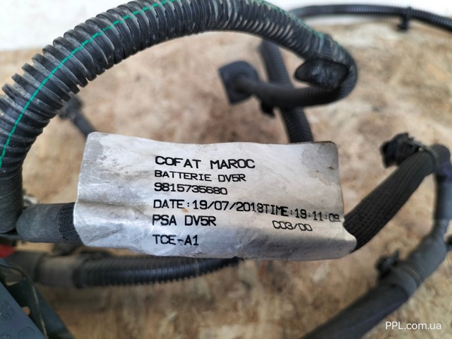 9815735680 Peugeot/Citroen
