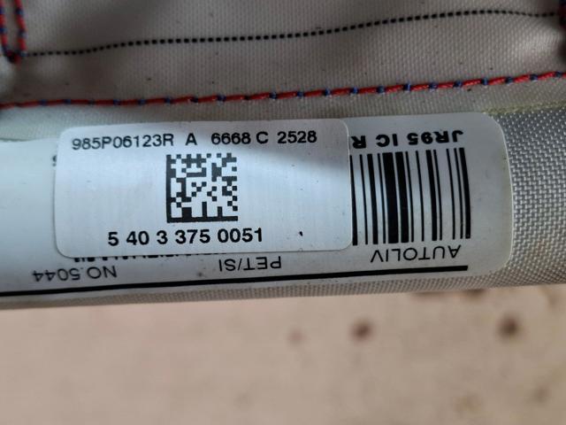 RENAULT 985P06123R Подушка безопасности (AIRBAG) шторка боковая правая в наличии Кривой Рог