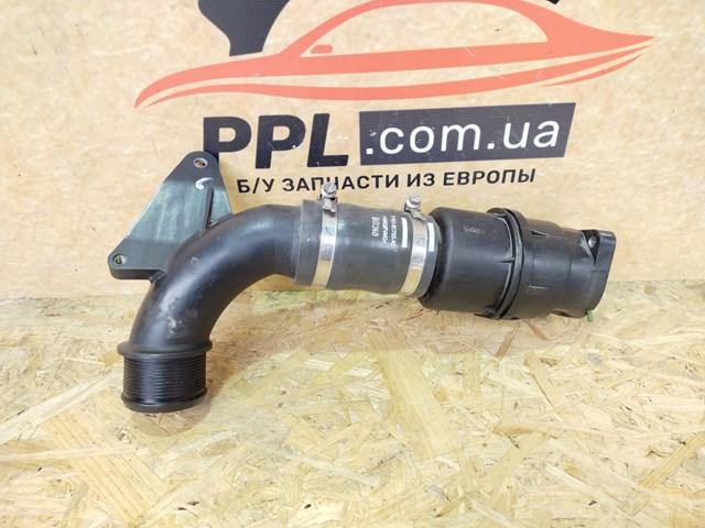 F1B16C750AC FORD Патрубок интеркулера купить в Ужгород