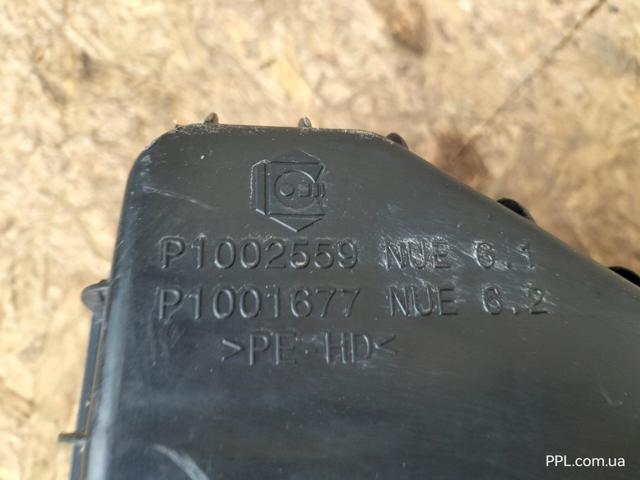 PEUGEOT P1002560 в наличии Кривой Рог