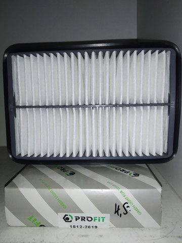 Фильтр воздушный 15122619 PROFIT
