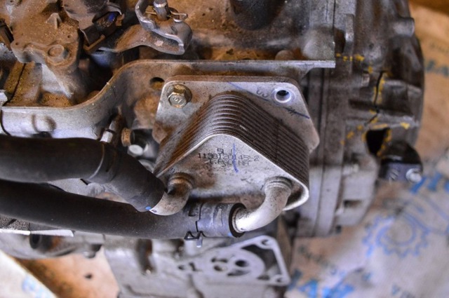 Радиатор охлаждения, АКПП/КПП 255605LJ004 HONDA