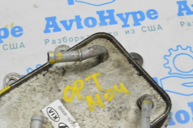 256204R000 Радиатор охлаждения, АКПП/КПП купить Черновцы