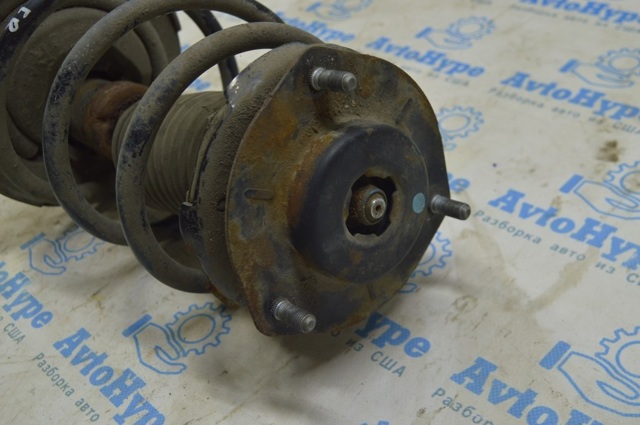 4851009874 TOYOTA Амортизатор передний правый купить в Хмельницкий