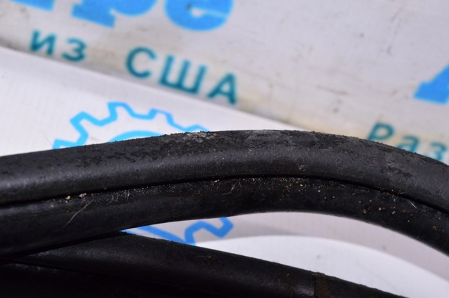 5076860AG CHRYSLER Уплотнитель двери задней правой (на кузове) купить в Тернополь