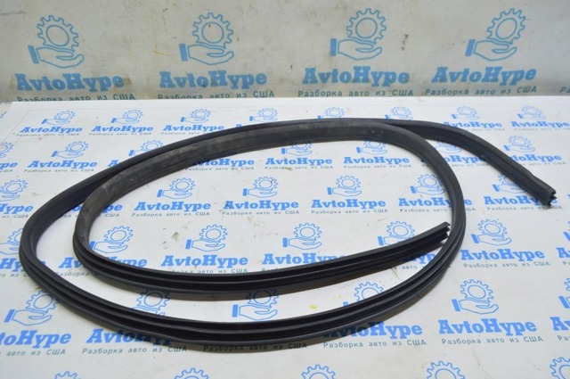AM5Z5820530D FORD Уплотнитель двери передней (на кузове) купить в Ровно