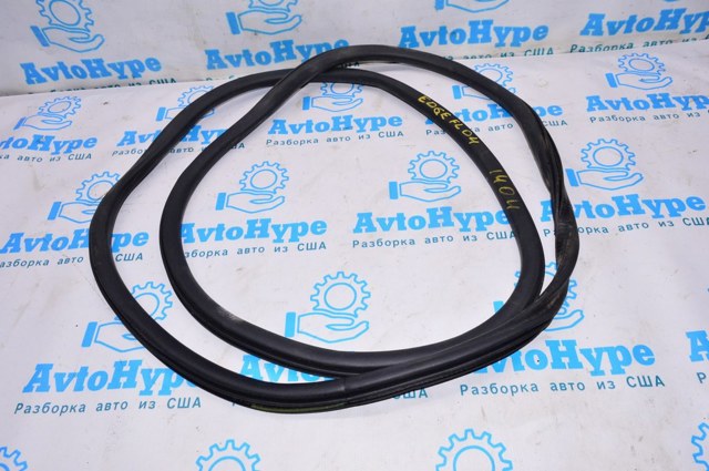 FORD FT4Z5820708B Уплотнитель двери передней (на кузове) в наличии Киев
