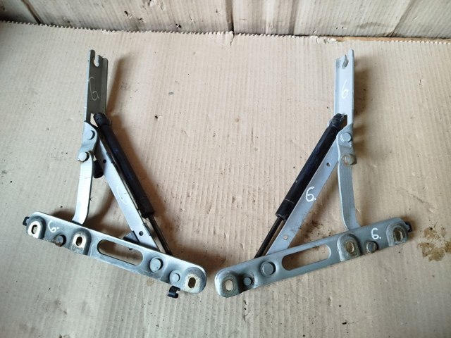 41628119163 BMW Петля крышки багажника купить в Ровно