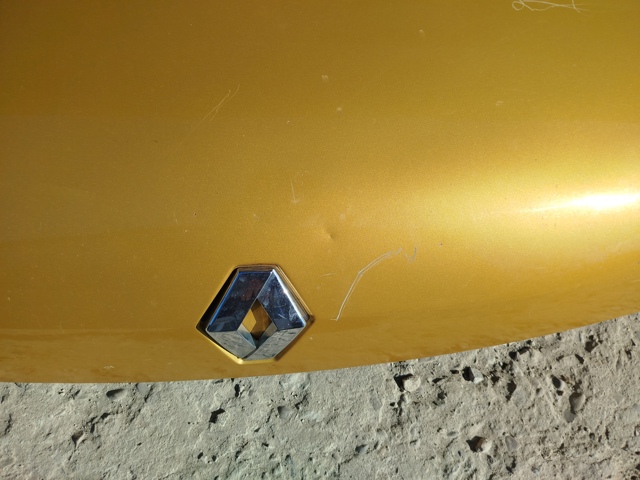 RENAULT 7751468946 Капот в наличии Днепр