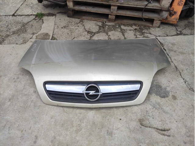 GM 93186909 Капот в наличии Житомир