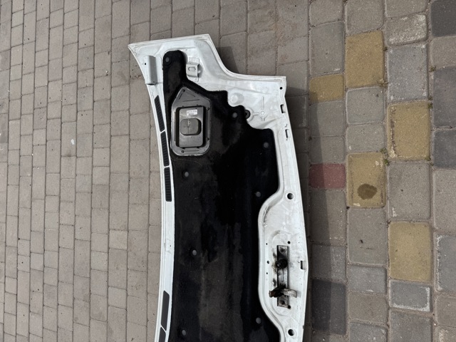 7751474717 RENAULT Капот купить в Ирпень