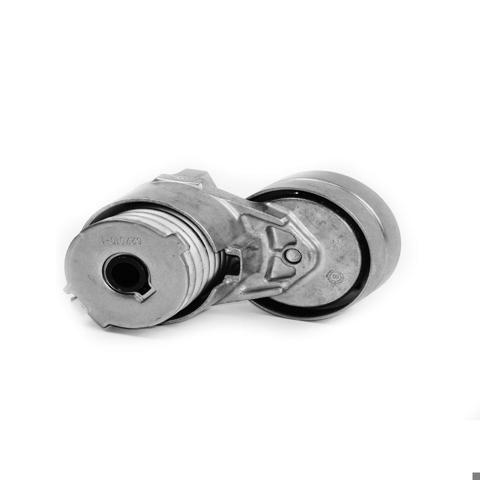 117209732R Renault (RVI) ремень агрегатов приводной, комплект