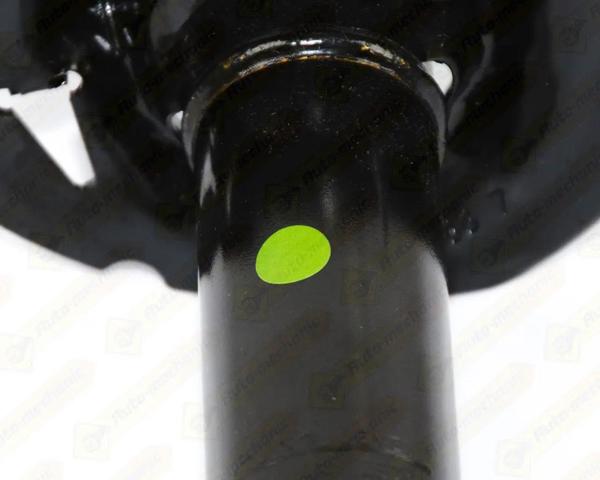 RENAULT 543029600R Амортизатор передний в наличии Житомир