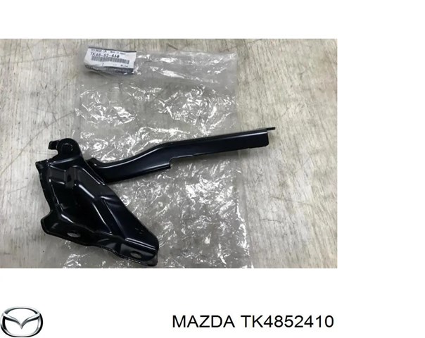 TK4852410 Петля капота правая купить Львов