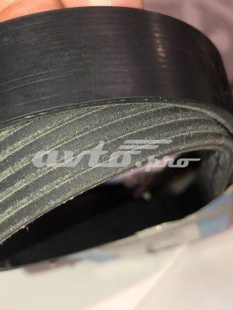 6PK1255S Ремень агрегатов приводной купить Ровно