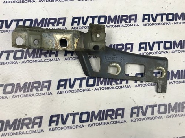 13224577 OPEL Петля капота правая купить в Одесса