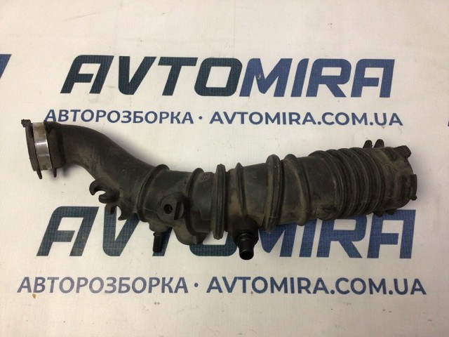 8200519077 RENAULT купить в Павлоград
