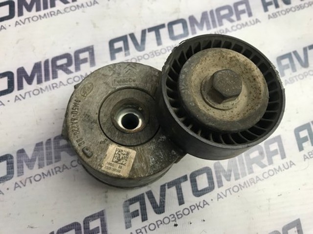 9M5Q6A228BB FORD Натяжитель приводного ремня купить в Ирпень