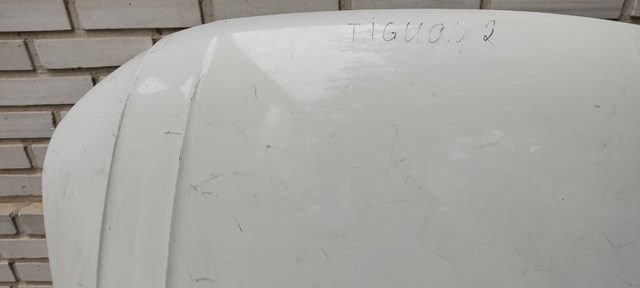 VAG 5NA823031D Капот в наличии Днепр