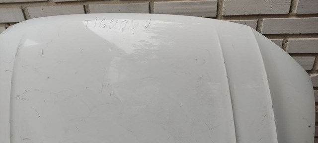 VAG 5NA823031D Капот в наличии Ирпень