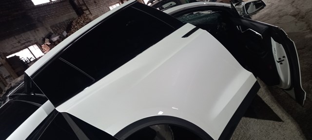 Дверь задняя в сборе 1069538E0A TESLA