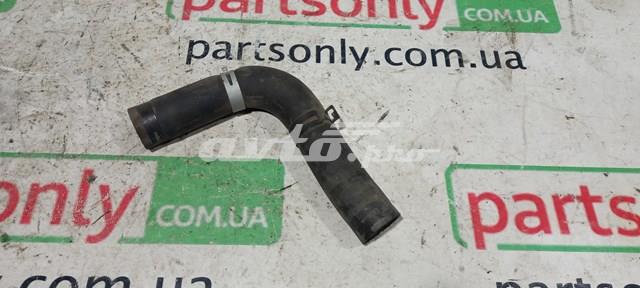 Патрубок радиатора охлаждения нижний 45161AL080 SUBARU