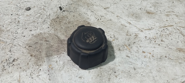 8200048024 RENAULT Крышка расширительного бачка купить в Кривой Рог
