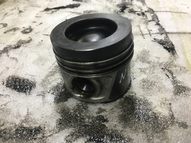 03L107065G001 VAG Поршень в комплекте на 1 цилиндр, STD купить в Львов