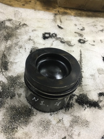 VAG 03L107065G001 Поршень в комплекте на 1 цилиндр, STD в наличии Чернигов