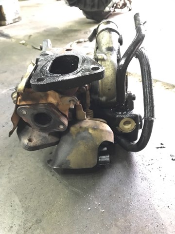 SUBARU 14411AA871 Прокладка турбины в наличии Днепр
