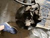 Цапфа (поворотный кулак) передний правый 28313AG020 SUBARU