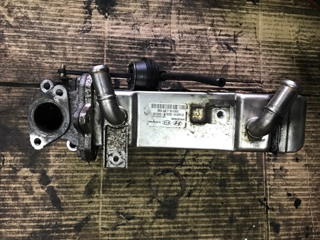 284162F100 HYUNDAI Радиатор системы EGR купить в Павлоград