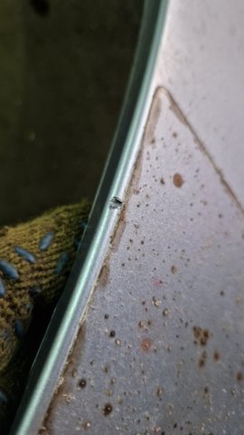 91112AJ330NN Накладка двери задней правой купить Ровно