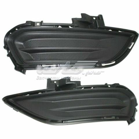 FORD DS7Z17B814AA Заглушка (решетка) противотуманных фар бампера переднего левая в наличии Николаев