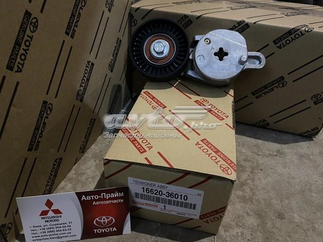1662036010 TOYOTA Натяжитель приводного ремня купить в Чернигов