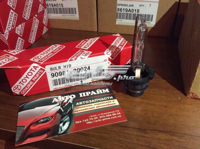 9098120024 TOYOTA Лампочка ксеноновая купить в Ужгород