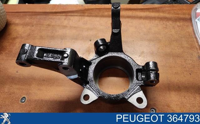 364793 PEUGEOT Цапфа (поворотный кулак) передний правый купить в Киев