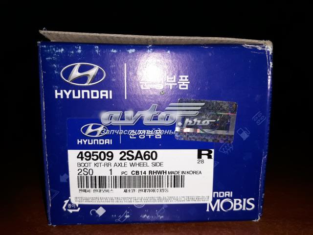 495092SA60 HYUNDAI купить в Львов