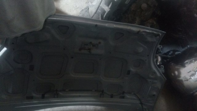 1318064 FORD Капот купить в Черновцы