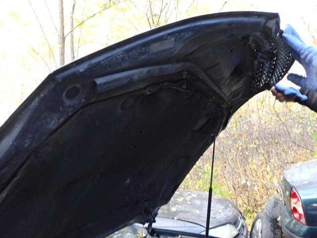 5330133080 TOYOTA Капот купить в Одесса