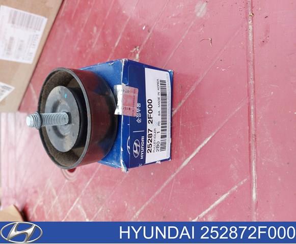 252872F000 HYUNDAI Ролик ремня ГРМ паразитный купить в Киев