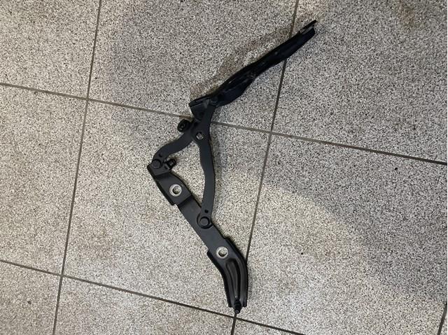Петля крышки багажника 7060628 BMW
