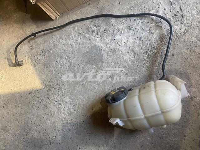 17137642160 BMW Бачок системы охлаждения купить в Павлоград