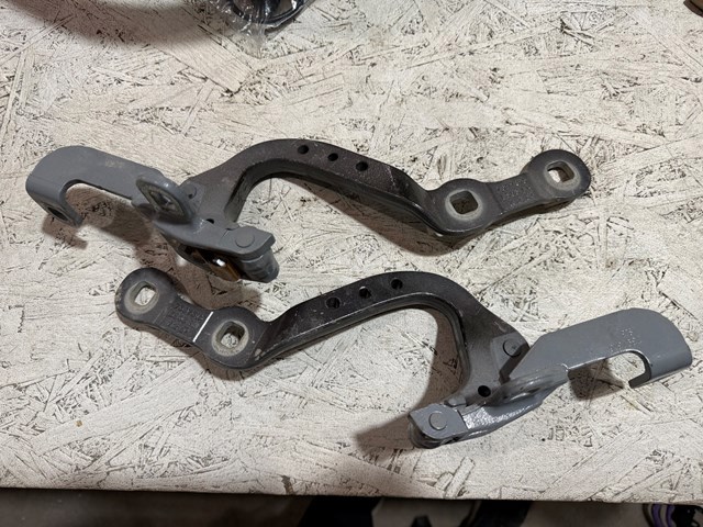 Петля двери задней (багажной 3/5-й) 41007494943 BMW