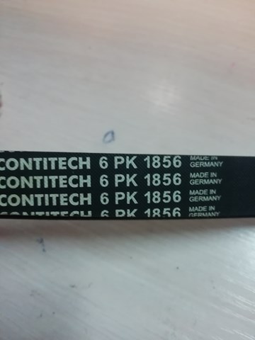 6PK1856 CONTINENTAL Ремень генератора купить в Павлоград
