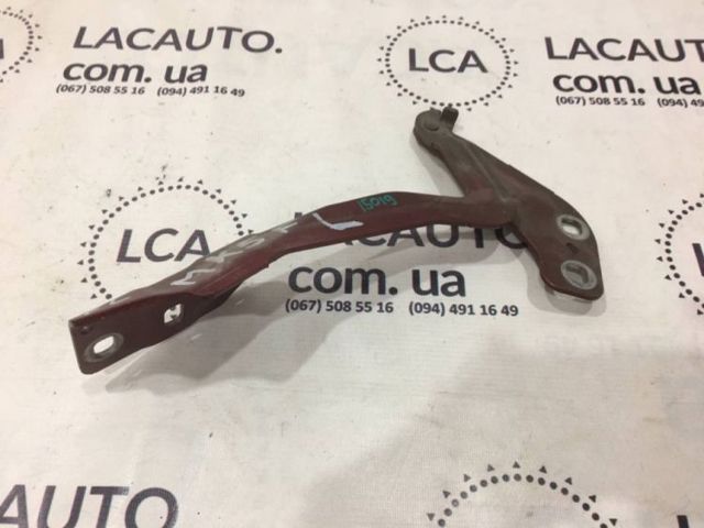 Завеса капота левая DS7Z16797A FORD