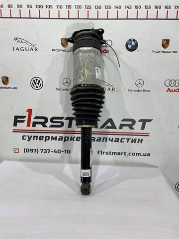 TESLA 106746125C Амортизатор задний левый в наличии Павлоград