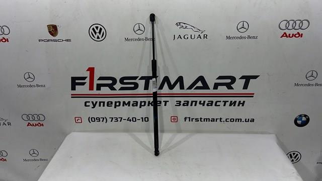 A2539801164 Амортизатор капота левый купить Запорожье